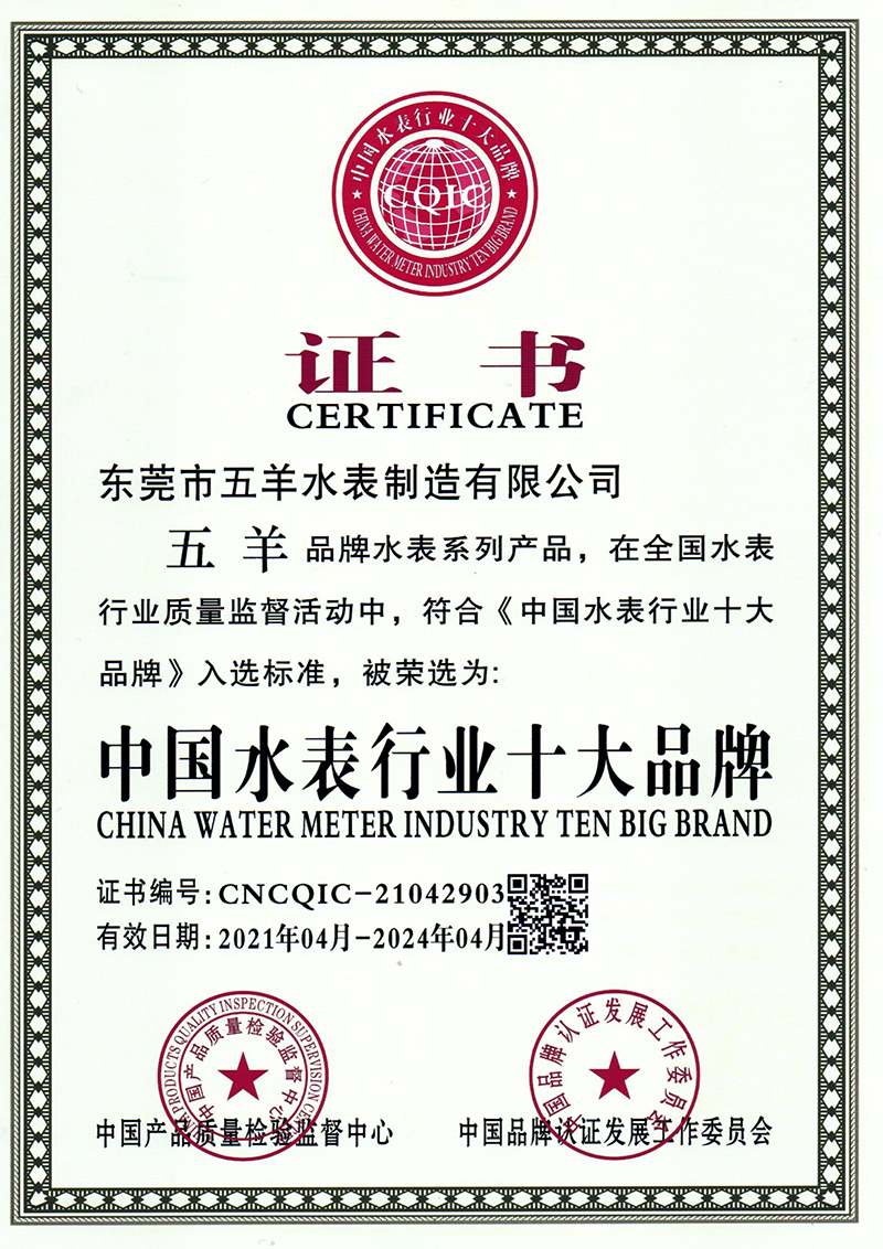 中國水表行業(yè)十大品牌證書